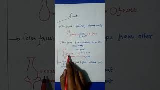 Types Of Fruits  Morphology Of Flowering Plant  Class 11th [upl. by Polash]