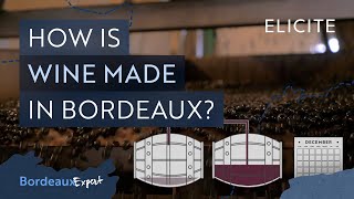 Red Winemaking in Bordeaux Explained [upl. by Douglas955]