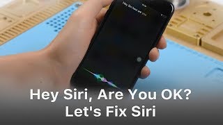 Hey Siri Are You OK Lets Fix Siri [upl. by Tessil]