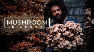 Cultivating Gourmet and Medicinal Mushrooms  PARAGRAPHIC [upl. by Nyliret]