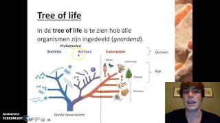 Ordening  Het indelen van organismen [upl. by Sakul]