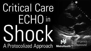 Critical Care Echocardiography in Shock [upl. by Suqram]