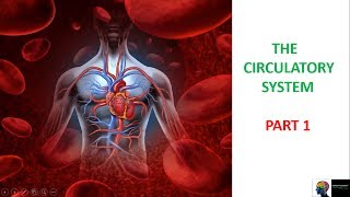 ICSE Class 10th Biology  Circulatory SystemPart 1 [upl. by Pantia]