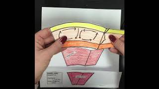 Earth Layer’s Foldable [upl. by Walton]