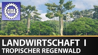 Trailer  Landwirtschaft I  Tropischer Regenwald  Geographie  Schulfilm [upl. by Henghold613]