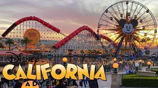 Disney California Adventure Vlog January 2020 [upl. by Hayyifas676]