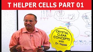 T Helper Cells  Immunology  Part 110 [upl. by Orimlede]