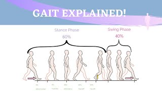 Gait Range of Motion Animation [upl. by Einnaf]