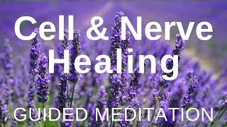 Guided HEAL Meditation  Cell and Nerve Healing Self Healing Meditation [upl. by Ailuy]