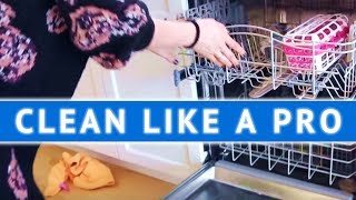 CLEAN LIKE A PRO Cleaning the Dishwasher [upl. by Nannah]