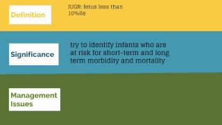 Topic 31 Fetal Growth Abnormalities [upl. by Lyrej]