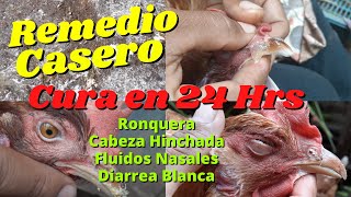 Remedio Casero para CURAR Moquillo Diarrea Blanca Ronquera Ojo Hinchado en Nuestras Gallinas [upl. by Ffilc899]