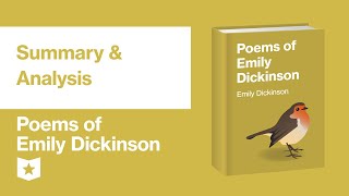 Poems of Emily Dickinson  Summary amp Analysis [upl. by Raseta346]