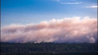 WaldbrandGroßeinsatz Katastrophenalarm in Mecklenburg  DER SPIEGEL [upl. by Nuahsal]