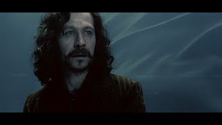 The Death of Sirius Black [upl. by Eninej]