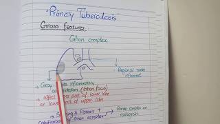 Tuberculosis Pathology  Primary and Secondary TB [upl. by Edrea928]