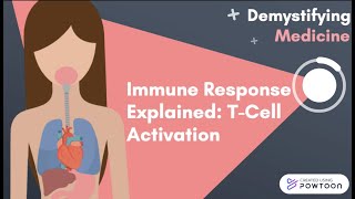 Immune Response Explained TCell Activation [upl. by Johppah192]