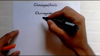 Glucogenolisis [upl. by Daitzman]