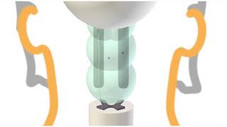 Extrapyramidal Motor Pathways [upl. by Ailices]