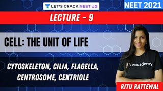 Phoenix 20 Biology Most Important Video for NEET 2025  Udaan [upl. by Attela319]