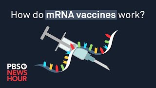 How do mRNA COVID19 vaccines work [upl. by Idroj]