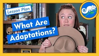 What Are Adaptations  Lesson Plan [upl. by Alis]