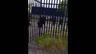 Irish Travellers vs Bailiffs riot [upl. by Grani]