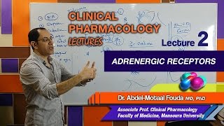 Autonomic Pharmacology Ar  Lec 02  Adrenergic Receptors [upl. by Leal]