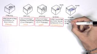 Dermatology  Lesion Terminology [upl. by Eecram581]