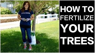 How to Fertilize Trees [upl. by Liu]