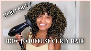 How To Diffuse Natural Curly Hair  NO FRIZZ  Tips amp Tricks [upl. by Ynnoj318]