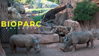 BIOPARC VALENCIA 4K [upl. by Aziza873]