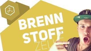 Wie funktioniert die Brennstoffzelle [upl. by Rieger]