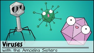 Virology Virus Structure and Classification [upl. by Eremaj]