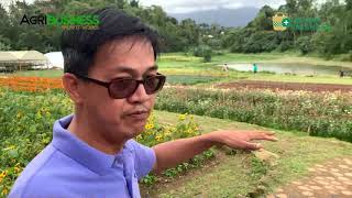 FARM TOURISM DESTINATION Simple Farm Living Experience [upl. by Eimareg]