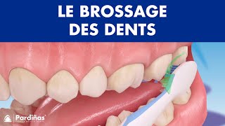 Comment brossage des dents correctement © [upl. by Haik660]