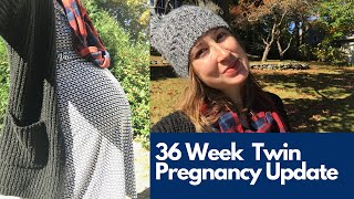 UPDATE 36 WEEKS PREGNANT WITH TWINS Surrogate Mother [upl. by Redford]