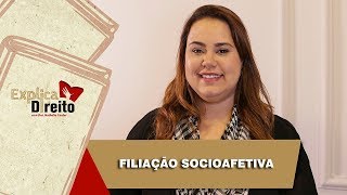 Explica Direito Filiação Socioafetiva  2019 [upl. by Sivia]