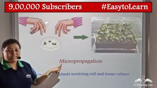 Micropropogation Method  Vegetative Propogation  Class 8  CBSE  NCERT  ICSE [upl. by Altheta]