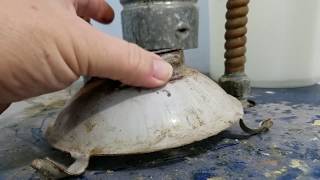 How to Replace your old Gas Water Heater DIY [upl. by Bethanne269]