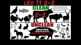 Leviticus 11 Clean And Unclean Animals what to eat or not to eat 22 [upl. by Herwin]