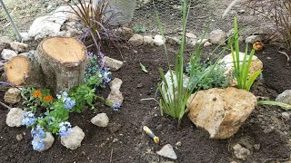 COMO DECORAR UN JARDIN CON TRONCOS PIEDRAS Y PLANTAS ORNAMENTALES [upl. by Yt]