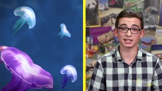 What is Bioluminescence  Nat Geo Kids Deepsea Creatures Playlist [upl. by Retsila]