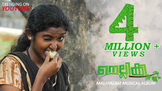 NELLIKKAMALAYALAM MUSICAL ALBUM 2019A GOOSEBERRY LOVE [upl. by Sipple]