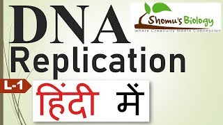 DNA replication in hindi [upl. by Seldun76]