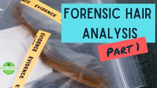 Forensic Science and Hair Analysis Part 1 [upl. by Kcirrem442]