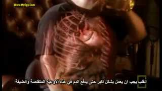 Inside The Living Body  FULL MOVIE  مترجم للعربيه [upl. by Moses248]