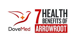 7 Health Benefits Of Arrowroot [upl. by Aslin]