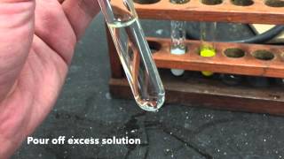 Anion Test  Sulfate Ions [upl. by Ailimac729]