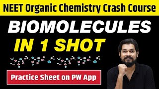 BIOMOLECULES in One Shot  All Concepts Tricks amp PYQs  Class 12  NEET [upl. by Laehpar]